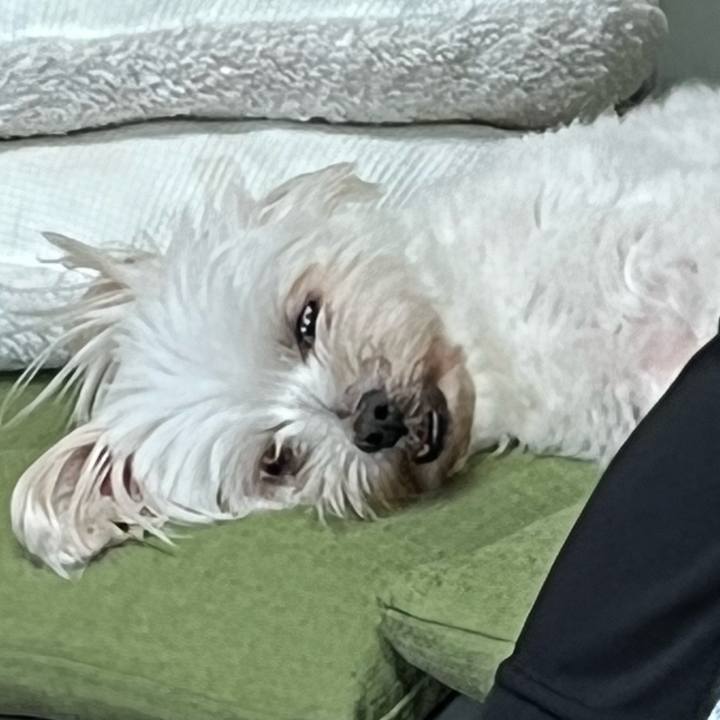 5454efdb 5a45 47fb 9c16 ed8ab1916e35 1657943911124