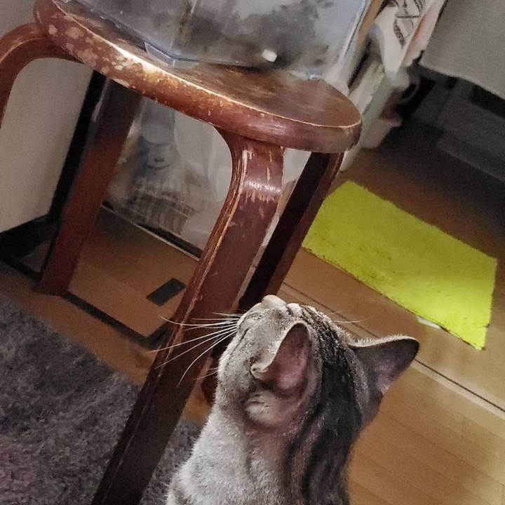 54550dbc eef7 4578 b550 980c698e7345 1694438800776