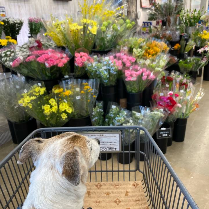 54553e6d 7916 44a5 9bb9 60a0b731a8a8 1668831083593