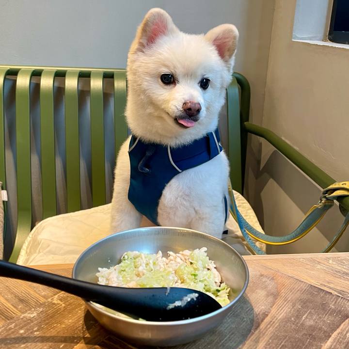 54555c91 6588 4504 9469 65b98c062000 1757849510745