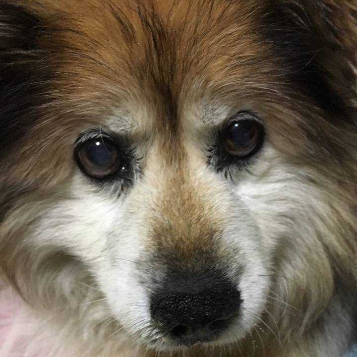 54556817 4b23 4a59 b5ce 26987e5177b2 1559413048045