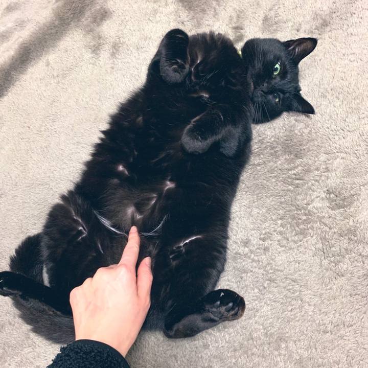 5455a942 da19 4124 a594 21dcc0ae1a94 1585366795236