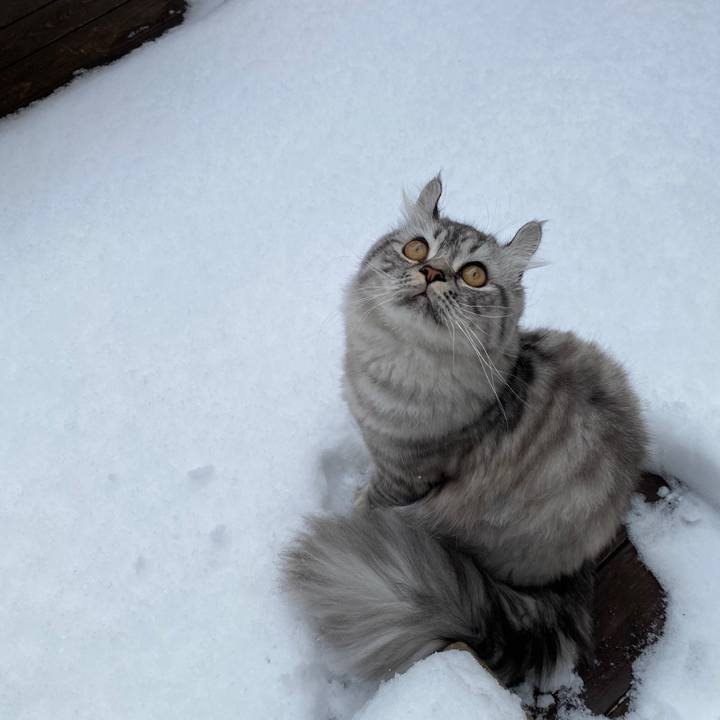 5455c96b 2287 4ab8 a228 9cb199312c35 1708898961659