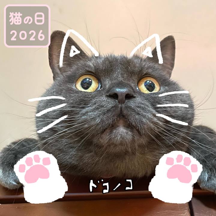 5455cd66 f90f 450a 8179 e049276fe738 1771803038542