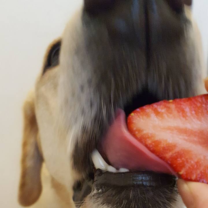 54561649 f0d9 4739 b1d7 da3a260d9f0c 1527129517069