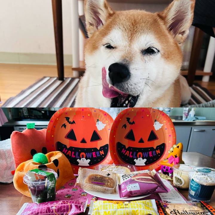 5456189e b2be 4dc7 b9ab 230f994ee6b5 1727326295252