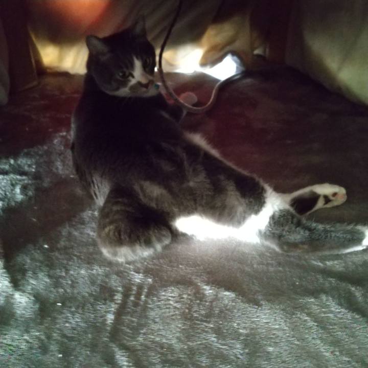 545646cd 93e9 4e80 8c70 038b138196b3 1645142350030