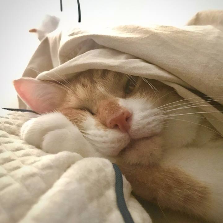 54568126 87fc 48ed adf3 c726e8ce4dcc 1571487789492