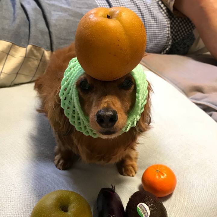 54569700 c646 46a2 ae6b deda4aa13121 1535548195280