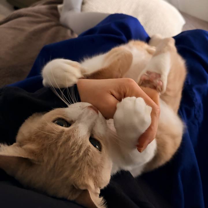 5456981a 0c16 4da5 94e7 3a59899e8c25 1770444570396