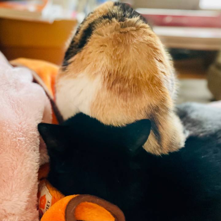 5456d150 7277 44e3 9e5a c2825df8c22f 1612061268793