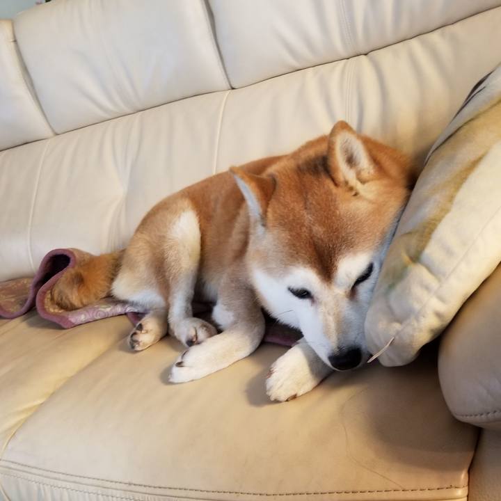 5456d738 c653 4f74 93f6 dd7dd39b5a62 1638054707357