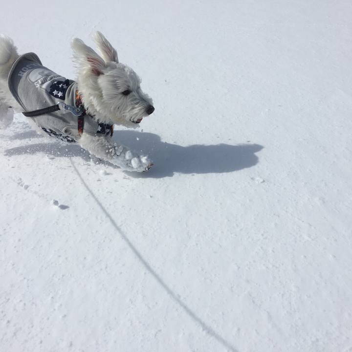 5456f036 31fd 4049 8431 65c485770016 1518978705349