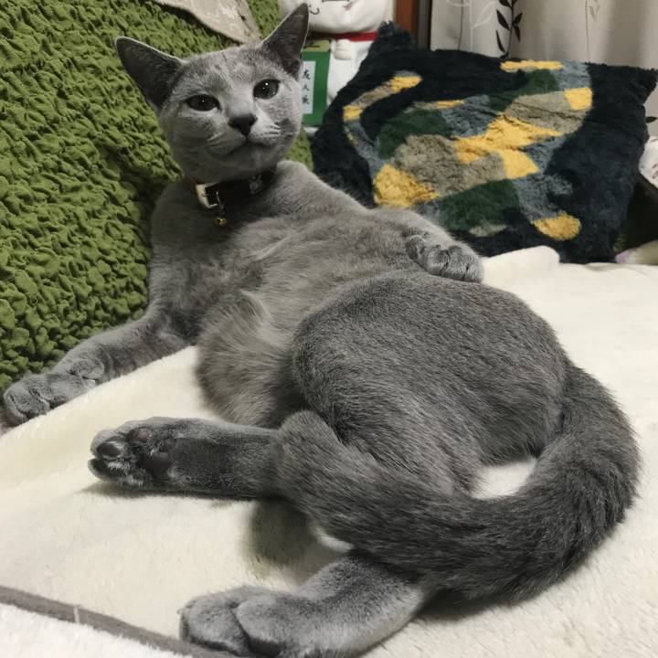 545719ec 2d58 4563 89f8 fe8dff0db760 1521498407709