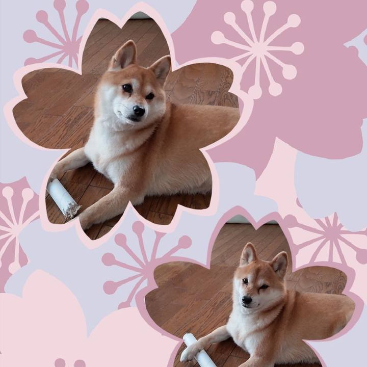 54572fd0 8ee9 4ad3 967f 2ef40903a485 1743647661737