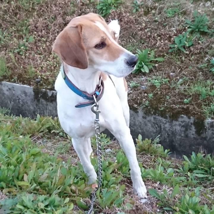 5457639b 5991 4ed3 a654 c464228e34e6 1574927411269