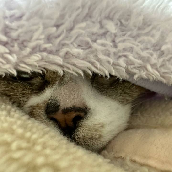 54579f6d 9d60 4b34 b4f3 12954a57f54f 1676509859049