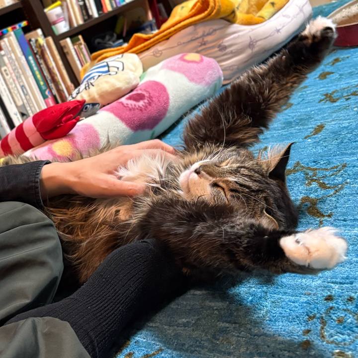 5457b1d6 1ff1 4bc0 a93d 0df89000c122 1768641277949