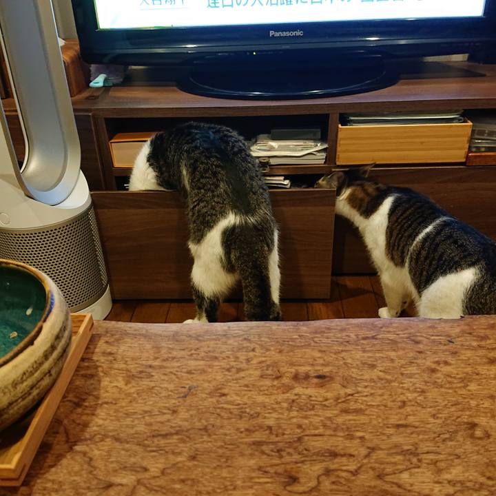 5457cccc 592d 4448 a168 8c9e8649c619 1686665948662