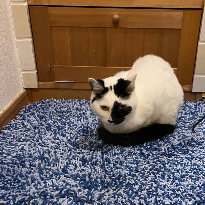 5457d98a 64c3 4b0a a920 6cb6477b7286 1761663908308