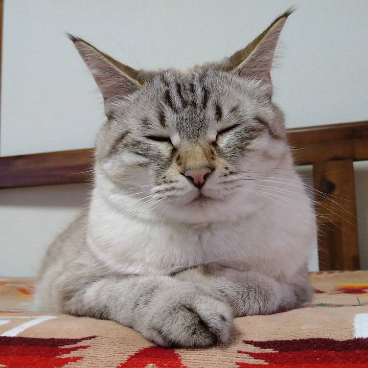 5458838e e12e 4cd8 a836 8b173a4b7755 1633955703083