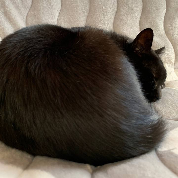 5458f5ea 15bb 42b2 ab55 90663dbef48d 1541209239611