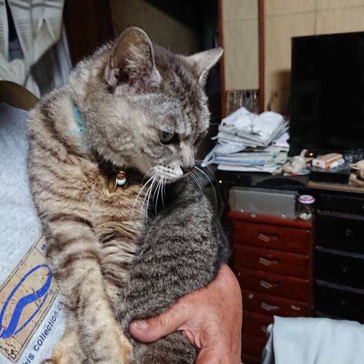 545908cb fb27 4657 8454 526685ce7a7c 1562877330508