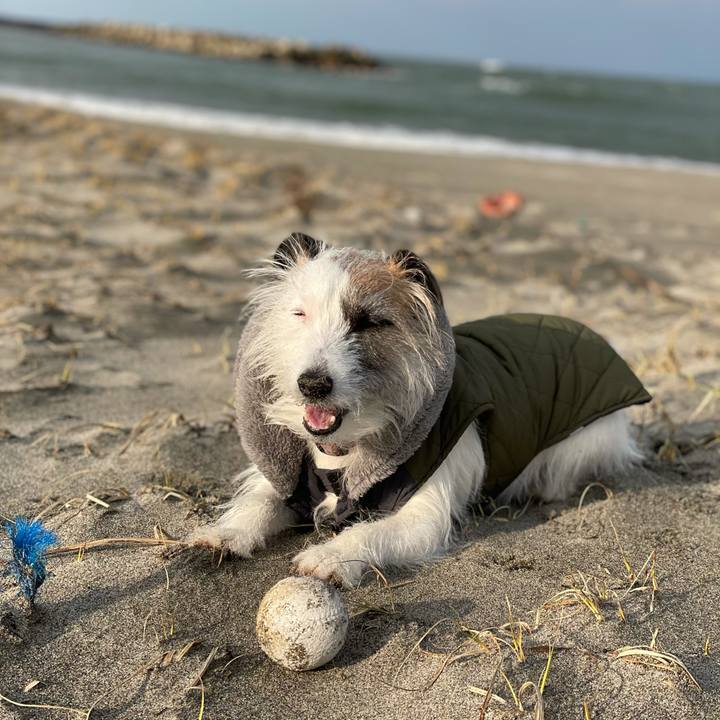 545921ea 2191 417a 8f88 9b7ebaded10b 1613001263812