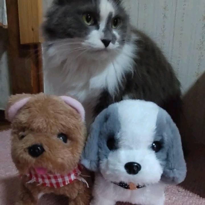 54592b2a f899 434b 904a 94bb0936d53f 1748661050620