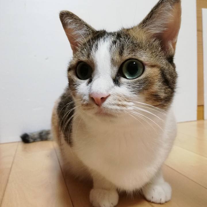 5459849c 7906 4961 83c4 b9de048acf73 1600901116155