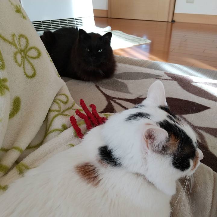 5459c0c8 0e47 4525 a41c 3b02ccfd3bec 1580082745108