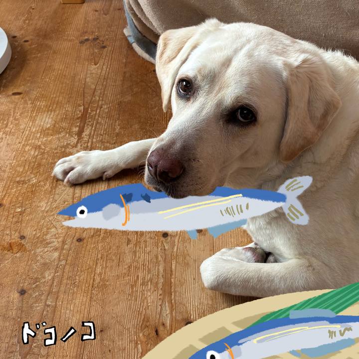 5459e060 3431 40d7 87d8 00ec32d39786 1789699674940