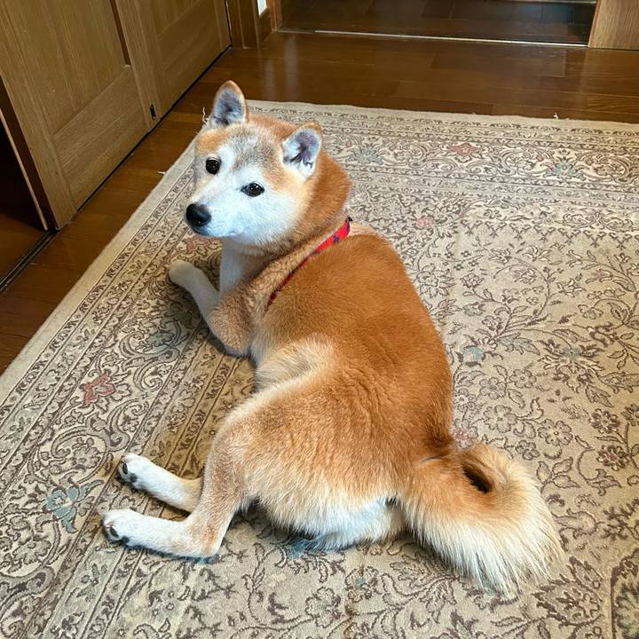 5459e9fc f5e8 472a 9918 5d636c19bb91 1759741744306