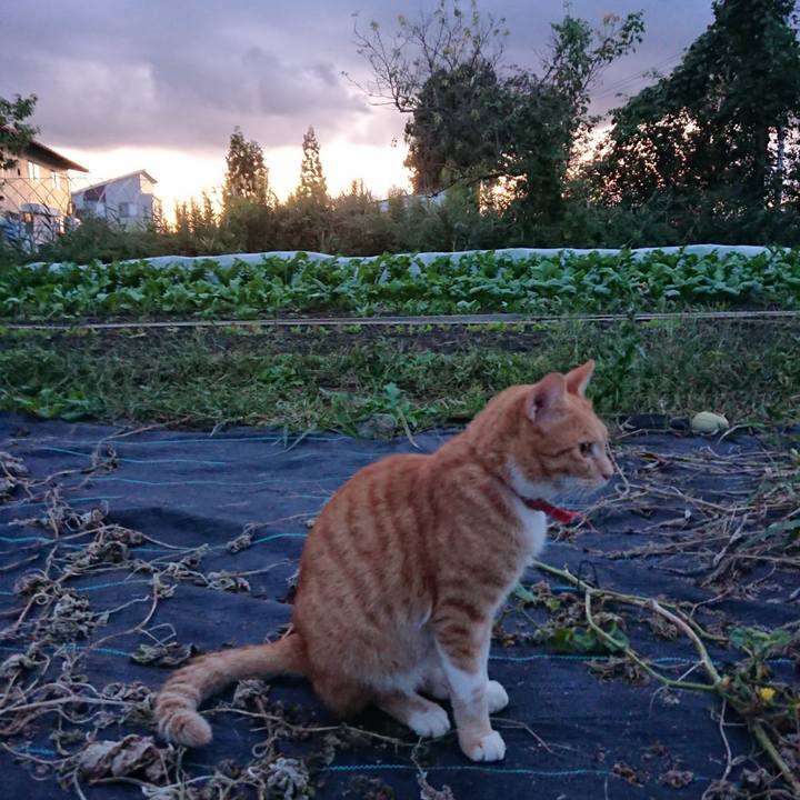 545a35f7 41f6 47ef 8c37 976d511f028c 1570352165911