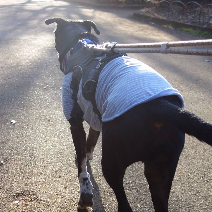 545a4786 911e 4769 a2d5 92d803ca84f4 1643591639996