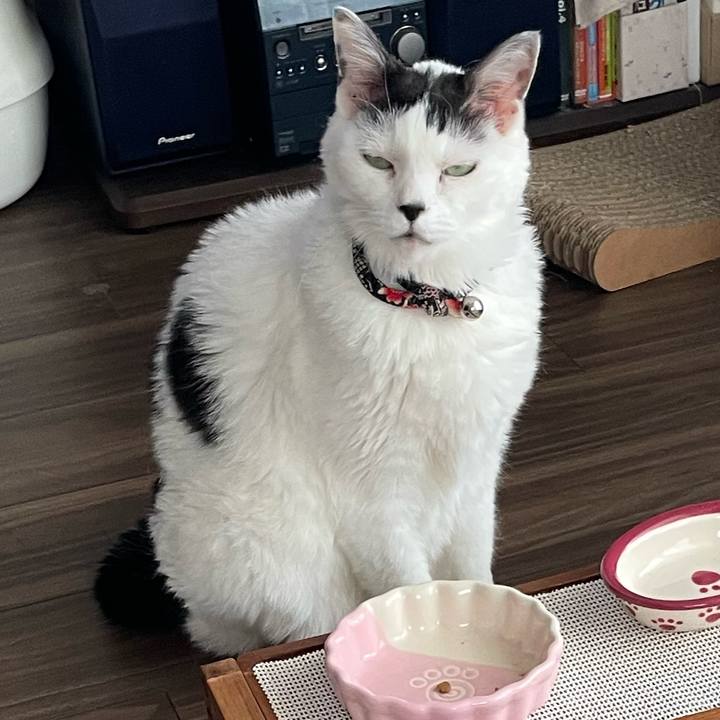 545a4c7c 387d 4932 b7cc d4cabcaa4506 1750376058301