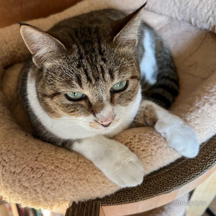 545a651a 2ccf 47eb 9a46 e102143e266a 1767147453760