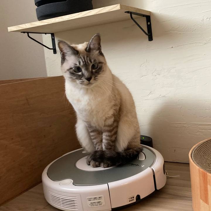 545a767b 4c8f 4c80 8312 d36d58a2b5f0 1641288333898