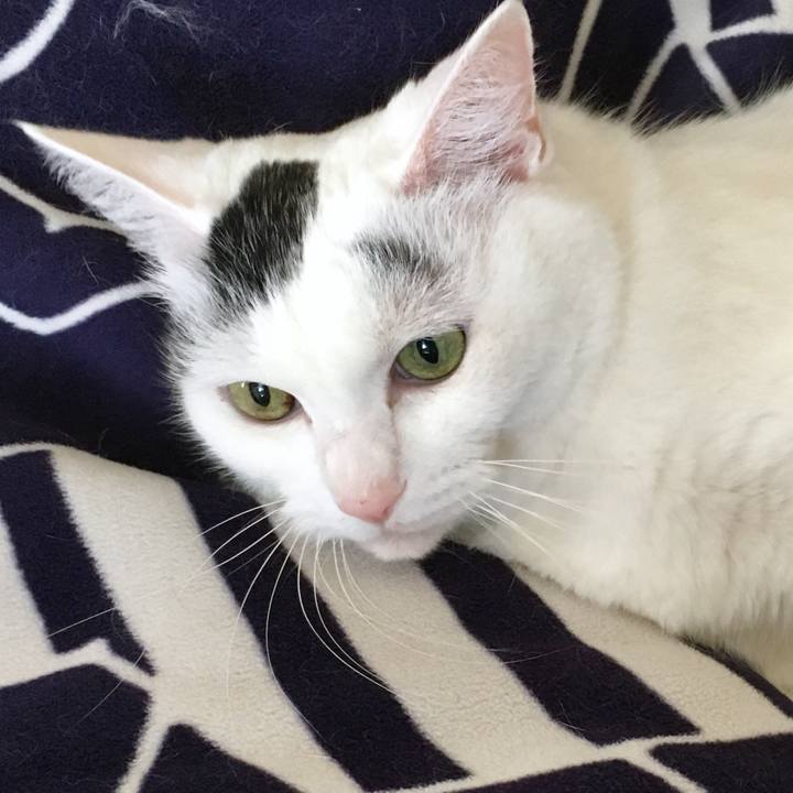 545a92a6 8786 4372 ace7 e9457a9faa8d 1568872151848