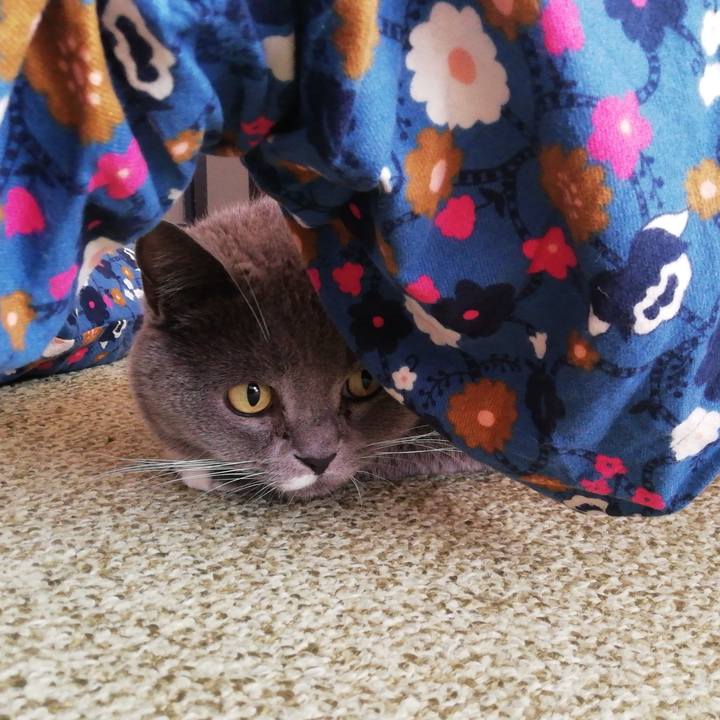 545ab5b1 af78 4a28 8e4c 6b7ecc6ac242 1701643401460