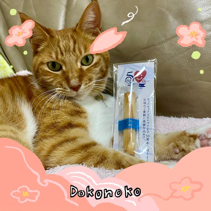 545ac8c8 5a11 430b 8409 b290cad6c5c5 1775730431746