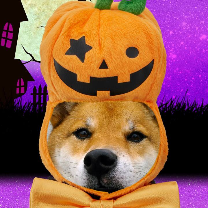 545acddf dc99 4bcc 90ad 6da29d219df9 1509206768625