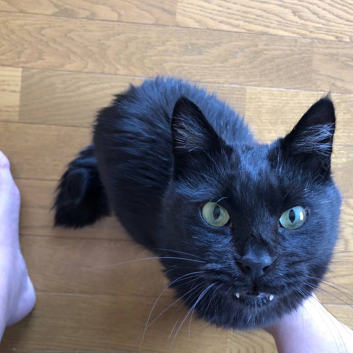 545affa4 9483 42ea b346 ebf13fa2b0af 1602901591193