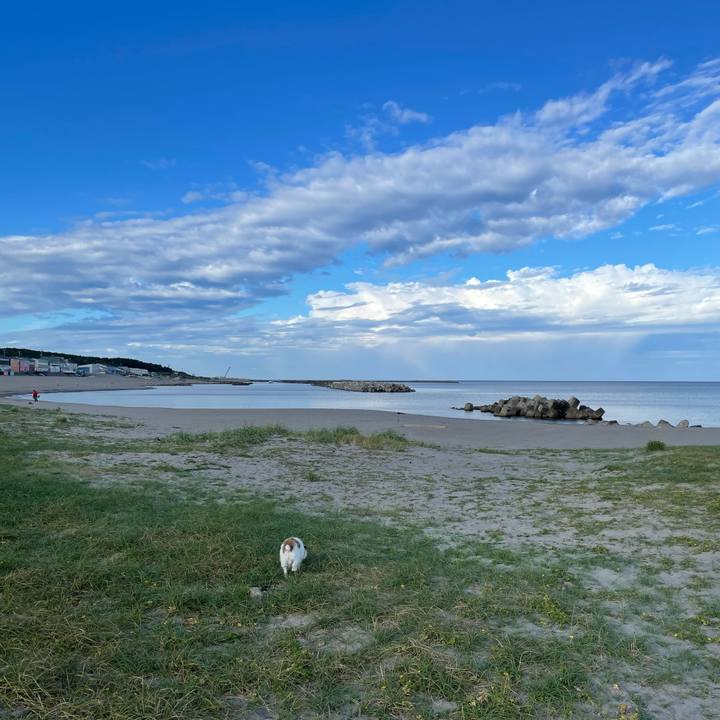 545b3c7b 7d0f 4572 8ee3 b0c7dba56462 1632266630564