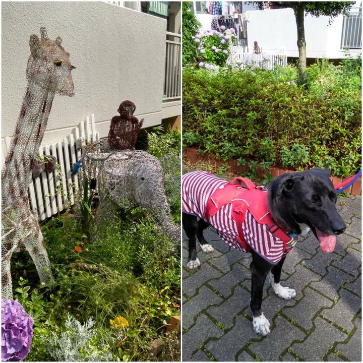 545b406e 086e 450c a2ac 0545cacf023c 1592267359140