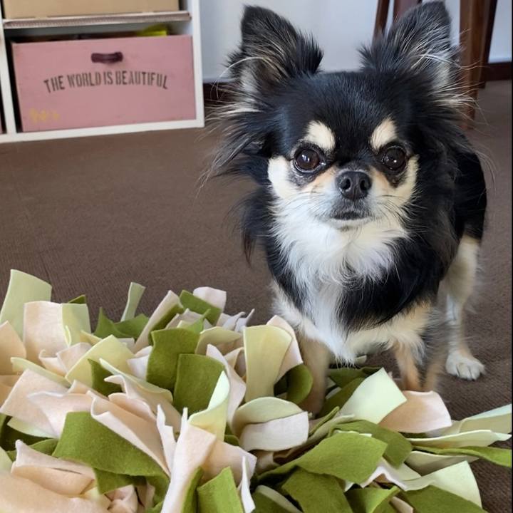 545bb475 1a11 4e45 8621 cbc0145b3baa 1606105591168