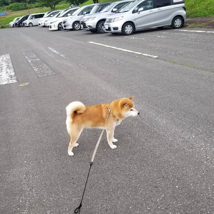 545bc083 23a0 4266 b195 19a71e6a1a53 1561784240638