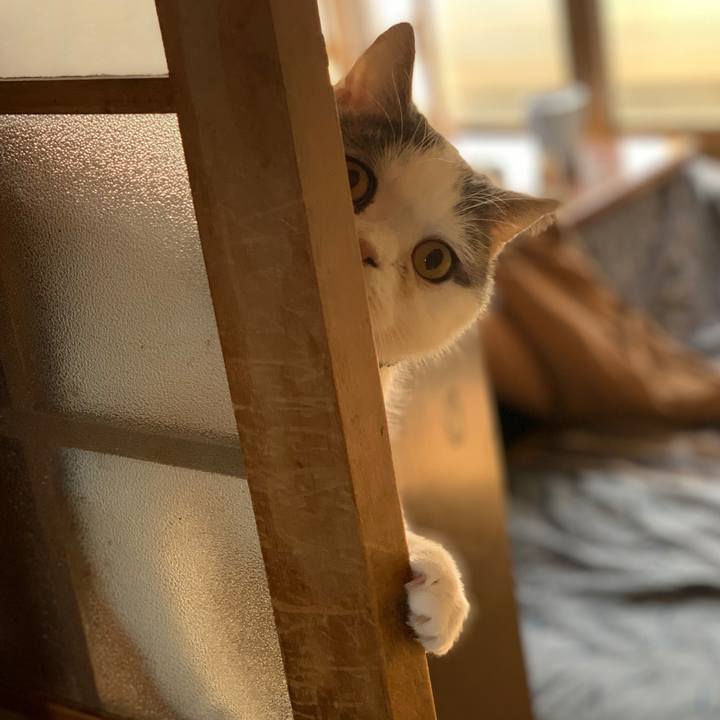 545c139c 1eb3 4d6f 9ec1 0e66c4cb879f 1614387138104