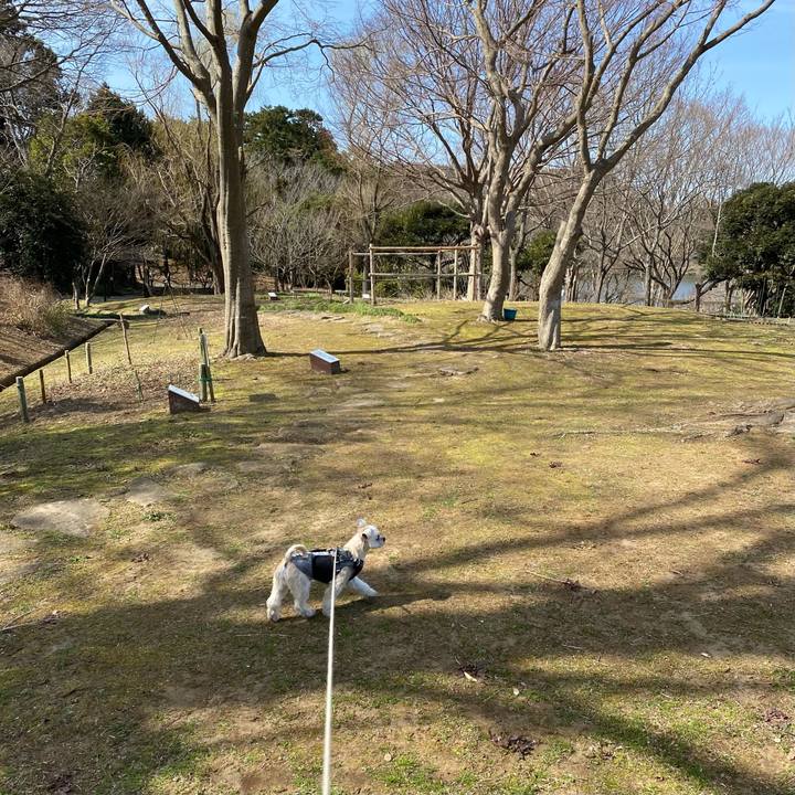 545c48ad 38c1 4abd ad57 4c796e458da9 1614423077152