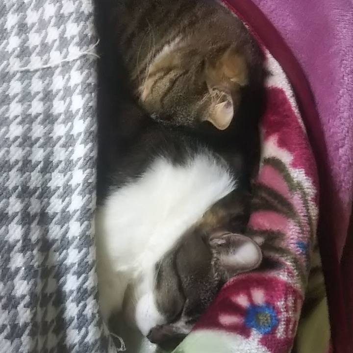 545c62aa 494b 46cb b04b 30635810ffbd 1636805850301